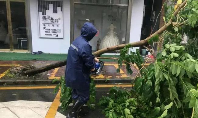 沙瑯鎮(zhèn)：打好防風(fēng)防汛“主動戰(zhàn)”，“小網(wǎng)格”實現(xiàn)“大守護”